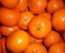 Oranges